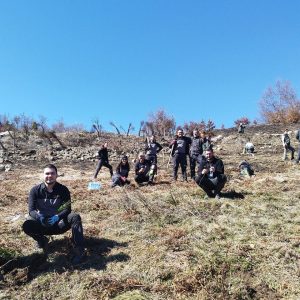 Committed to a greener future through active reforestation